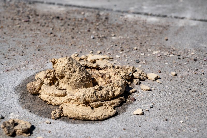 Increase Your Lawn Clean Up Service Business with an AI Driven, Targeted Website