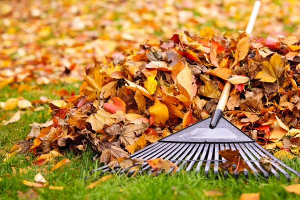 Cost of Fall Lawn Cleanup Service in Riverside