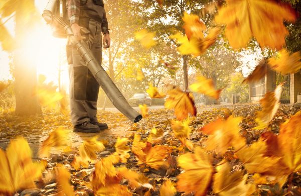 Cost of Leaf Blowing Service in Riverside