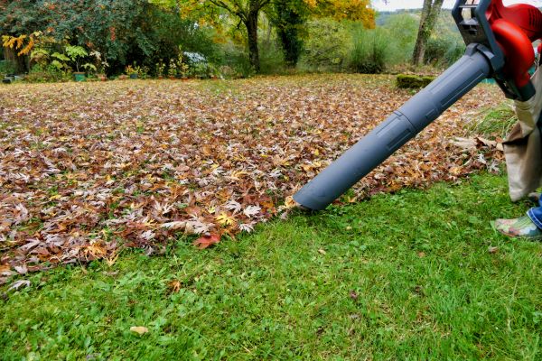 Cost of Leaf Vacuuming Service in Riverside