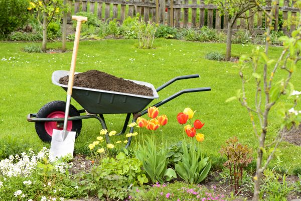 Cost of Spring Yard Cleanup in Riverside