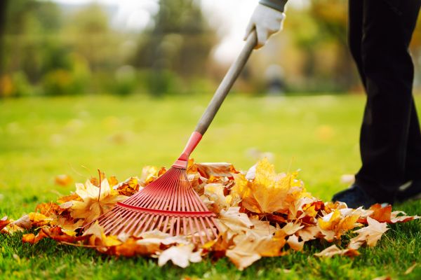 Cost of Ditch Leaf Removal in Riverside
