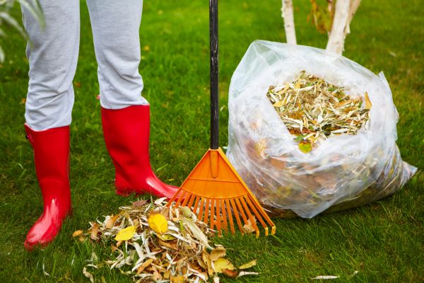 Cost of Leaf Disposal Service in Riverside