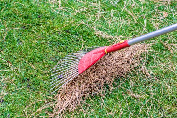 Cost of Yard Raking in Riverside