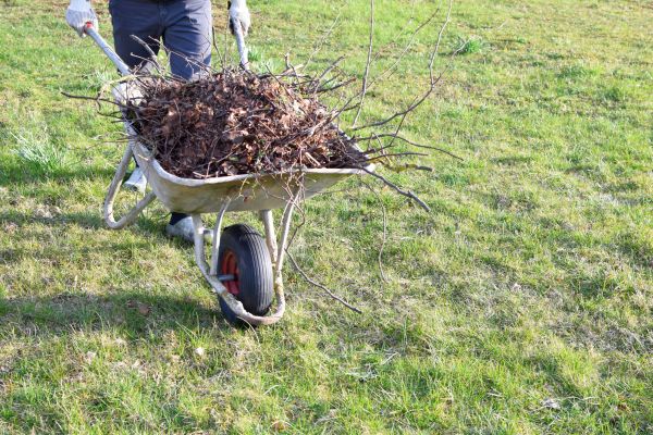 Cost of Yard Brush Removal in Riverside