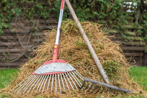 Cost of Pine Straw Clearing in Riverside