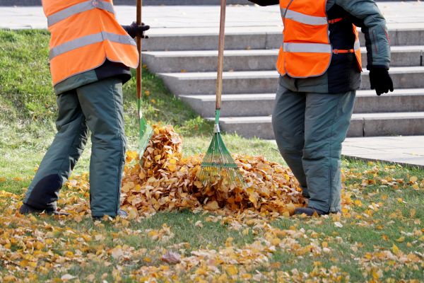 Cost of Leaf Hauling Service in Riverside