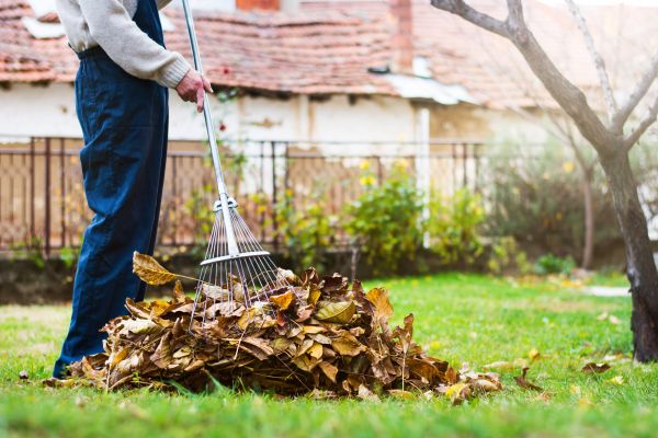 Cost of Spring Lawn Cleanup in Riverside