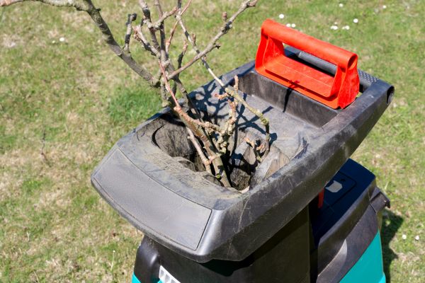 Cost of Brush Cleanup Service in Riverside