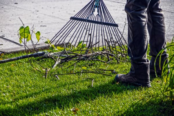 Cost of Yard Debris Cleanup in Riverside