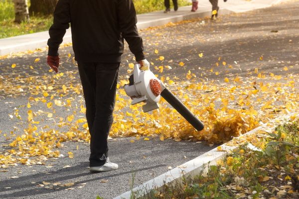 Cost of Commercial Leaf Removal in Riverside