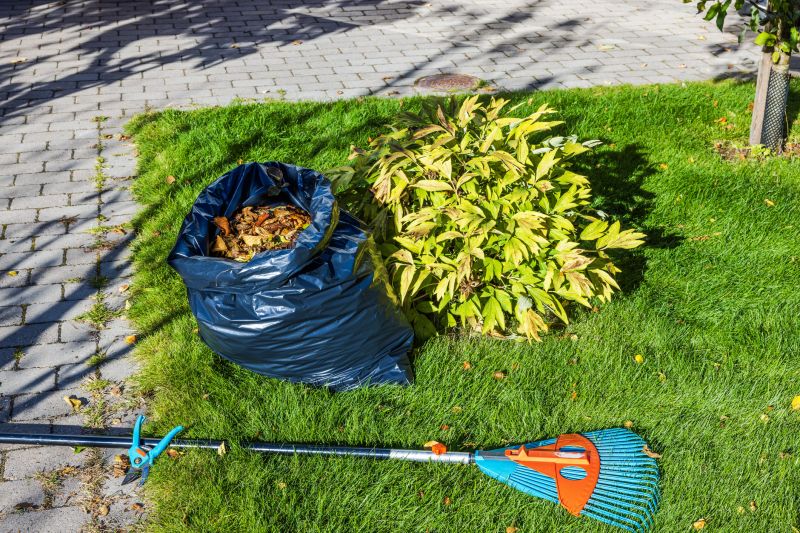 Fall Lawn Clean Up
