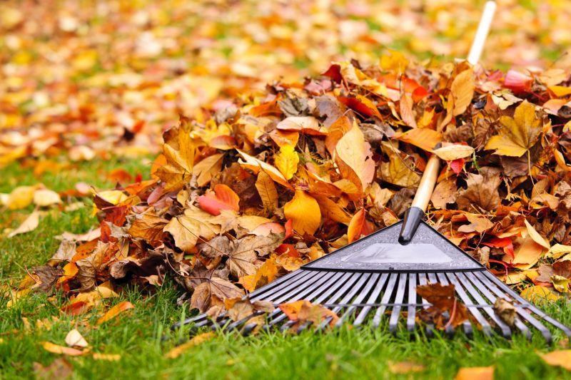 Leaves Raking
