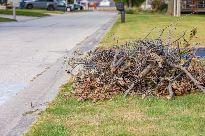 Yard Waste Removal Services